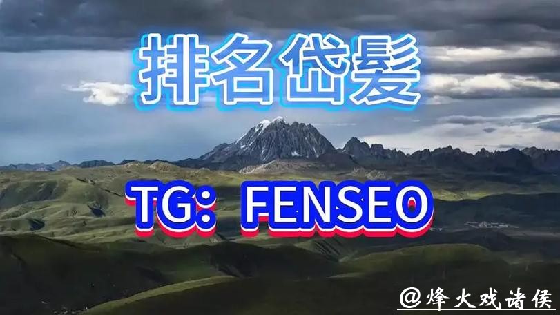 高赔率世界杯买球平台推荐，收益最大化